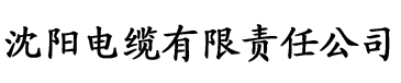 香蕉派视频电缆厂logo